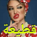 برنامج ملصقات واتس اب عربية WASticker‏